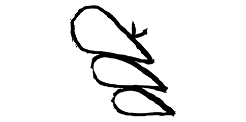 Logo Bains Douches