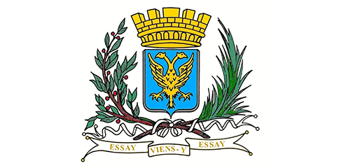 Logo Essay
